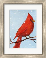 Cardinal I Fine Art Print