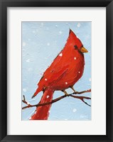 Cardinal I Framed Print