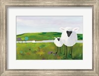 Sheep in the Meadow Fine Art Print