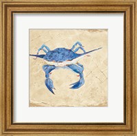 Blue Crab VI Neutral Fine Art Print