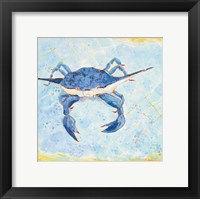 Blue Crab VI Fine Art Print
