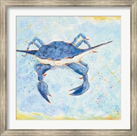 Blue Crab VI Fine Art Print