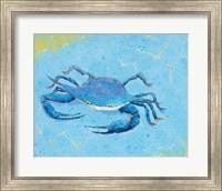 Blue Crab V Fine Art Print