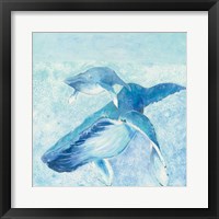 Blue Mama Framed Print
