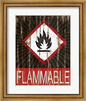 Flammable Fine Art Print