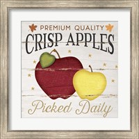 Crisp Apples Fine Art Print
