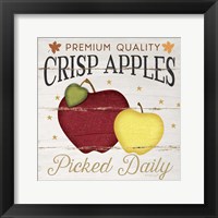 Crisp Apples Framed Print