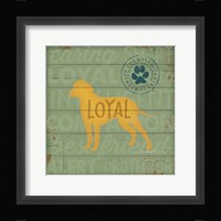 Loyal Dog Framed Print