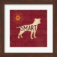 Smart Dog Fine Art Print