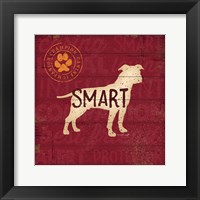 Smart Dog Fine Art Print