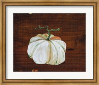 White Pumpkin Fine Art Print
