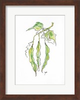 Peas Fine Art Print