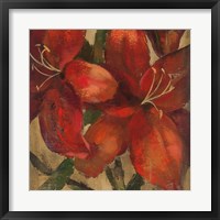 Vivid Red Lily on Gold Crop Fine Art Print