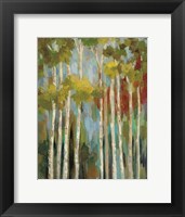Young Forest II Fine Art Print