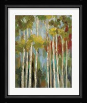 Young Forest II Framed Print