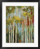 Young Forest II Framed Print