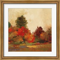 Fall Forest III Fine Art Print