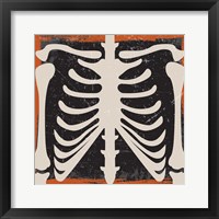 Skeleton Framed Print