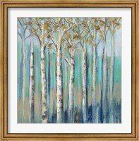 Birches at Dawn Fine Art Print
