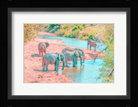 Waterhole Rendezvous II Framed Print