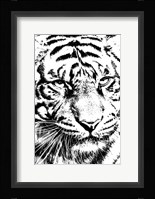 Kitty Kitty Fine Art Print