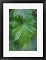 Tropical Leaves II Framed Print