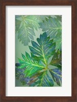 Tropical Leaves III Fine Art Print