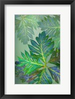 Tropical Leaves III Framed Print