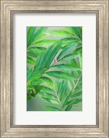 Tropical Leaves IV Fine Art Print