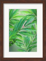 Tropical Leaves IV Fine Art Print
