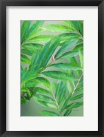 Tropical Leaves IV Framed Print