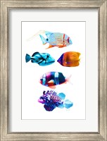 Fish Tank Fine Art Print