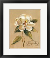 December Magnolia Vintage Fine Art Print