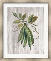 Market Vegetables II on Wood Fine Art Print