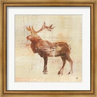 Elk Study Fine Art Print