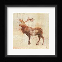 Elk Study Fine Art Print