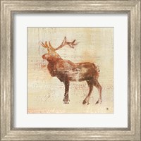Elk Study Fine Art Print