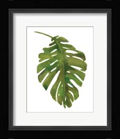 Tropical Palm I Framed Print
