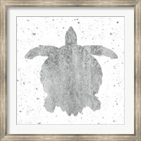 Silver Sea Life Turtle Fine Art Print