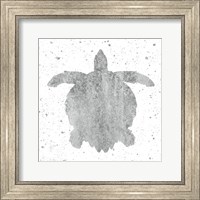 Silver Sea Life Turtle Fine Art Print