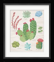 Succulent Chart IV on Wood Framed Print