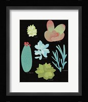 Succulent Chart II Framed Print
