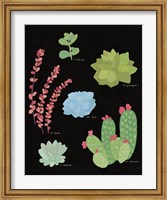 Succulent Chart IV Fine Art Print