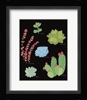 Succulent Chart IV Framed Print