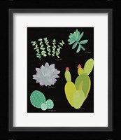 Succulent Chart III Framed Print