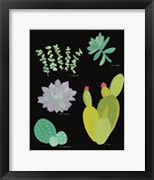 Succulent Chart III Framed Print