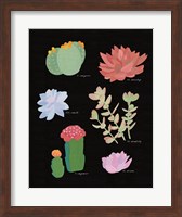 Succulent Chart V Fine Art Print