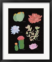 Succulent Chart V Fine Art Print