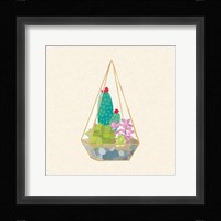 Succulent Terrarium II Framed Print