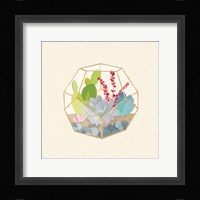 Succulent Terrarium III Framed Print
